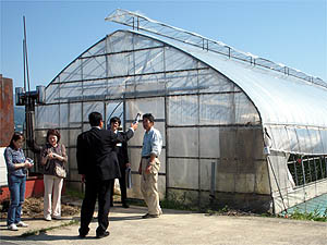 �юR�s �u�Ƃꂽ�đ��v�𗬎��Ɓ@�O���[���c���[�Y��