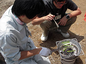 �юR�s�A�X�p���K�X�_�Ƒ̌��@�O���[���c���[�Y��