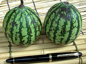 ���ԑ�̂��ƂȂ�X�C�J